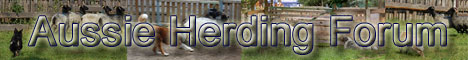 herding forum